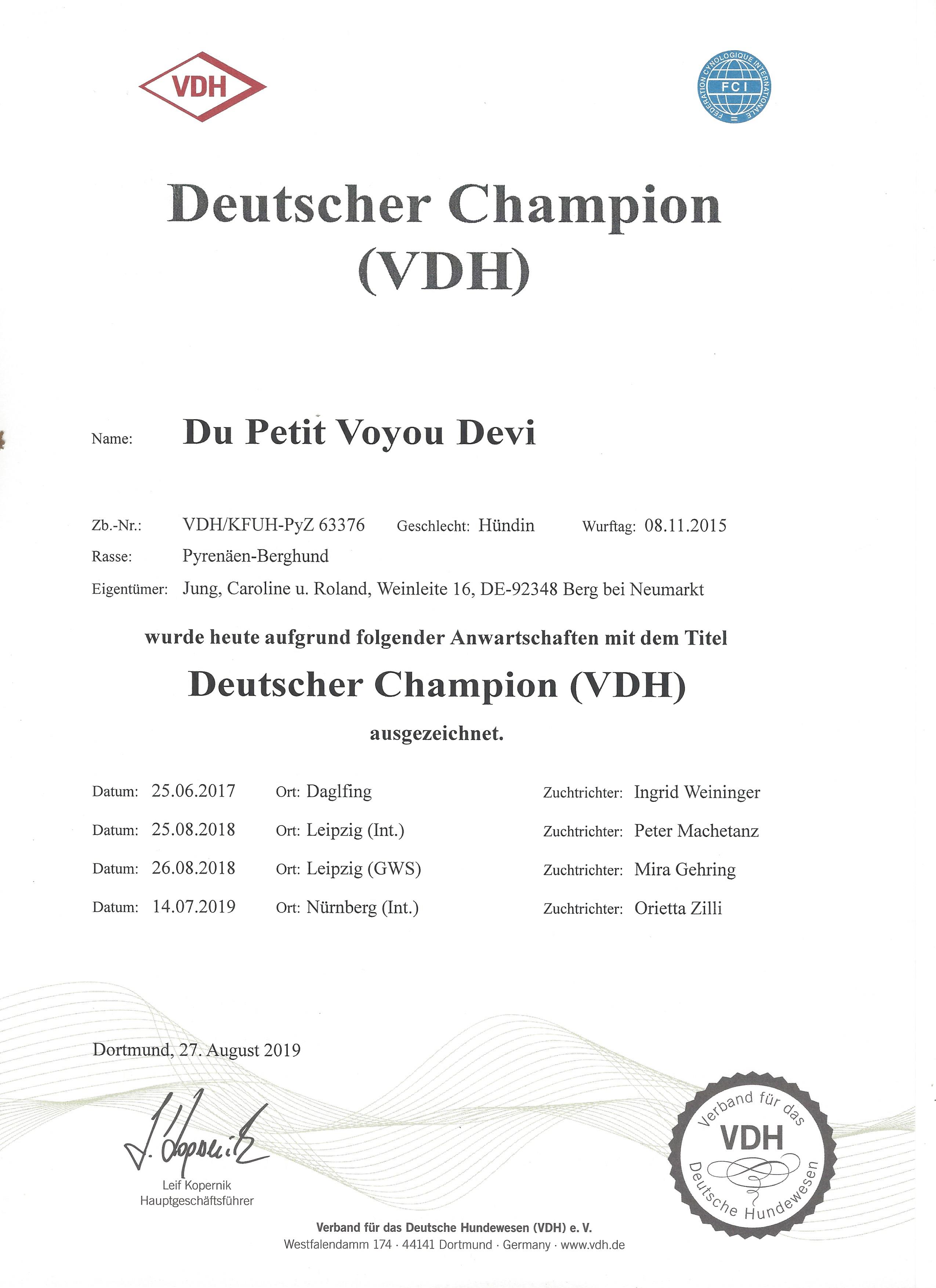 Pyrenäenberghund - Devi VDH Champion